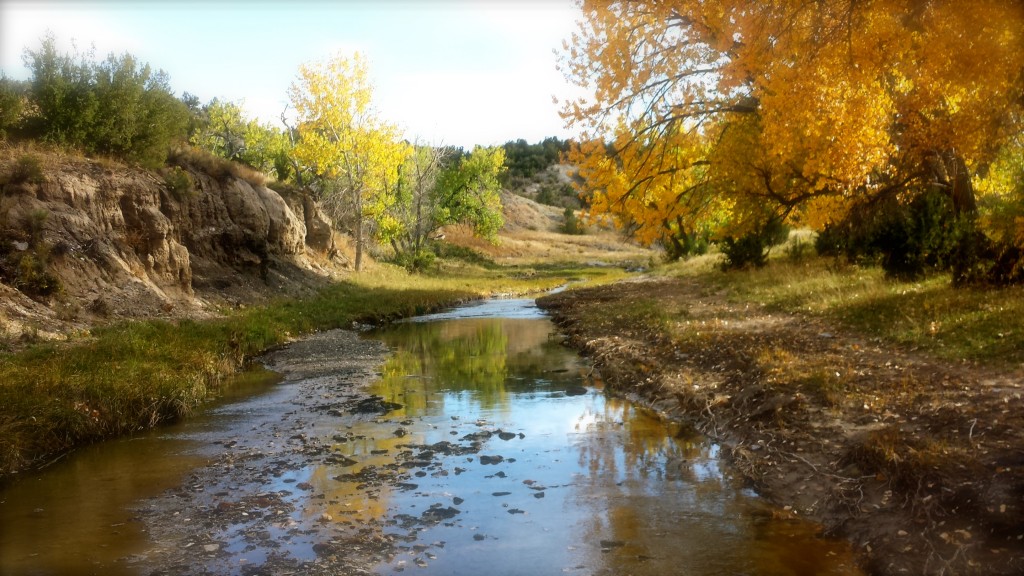 Creek in the fall